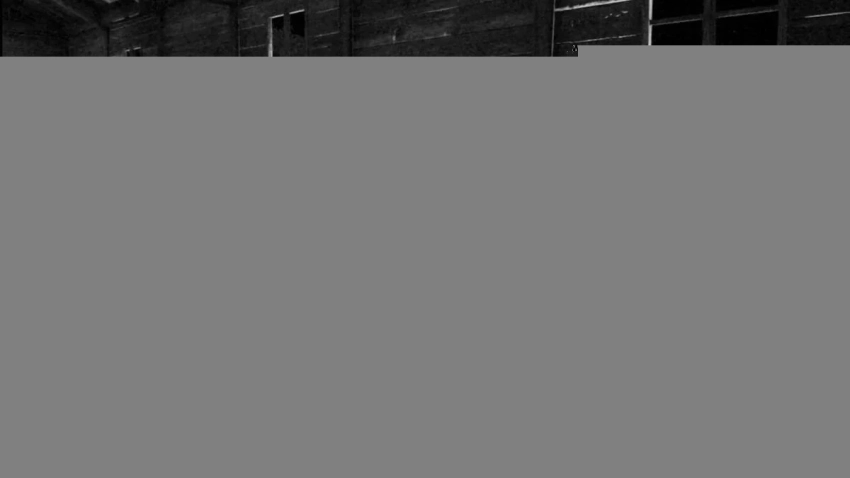 Тираж скандального хоррора Horses составил 18 тысяч копий за первые две недели продаж